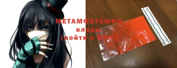 шишки Няндома