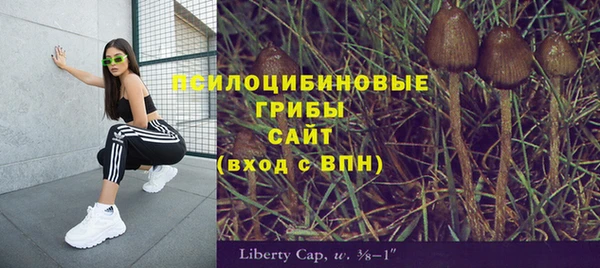 герыч Новодвинск