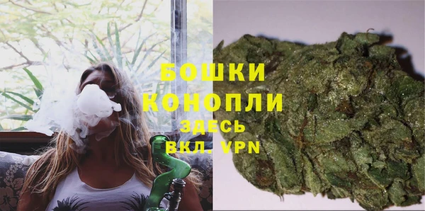 шишки Няндома