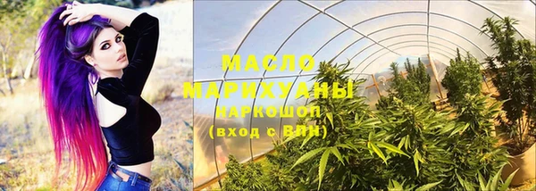 шишки Няндома