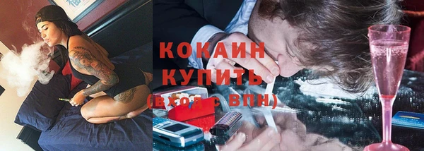 mdpv Новозыбков