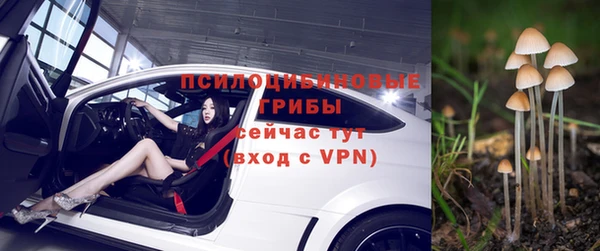 шишки Нягань