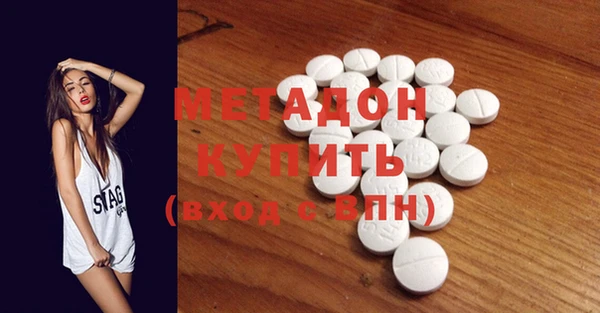 шишки Няндома
