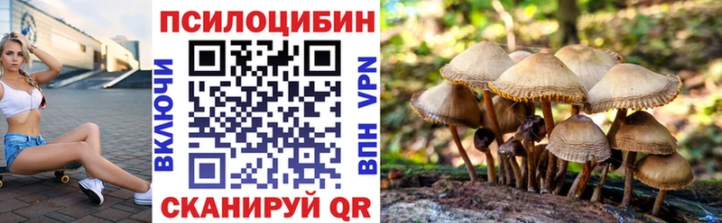 Купить где  Ардон  Псилоцибиновые грибы GOLDEN TEACHER 